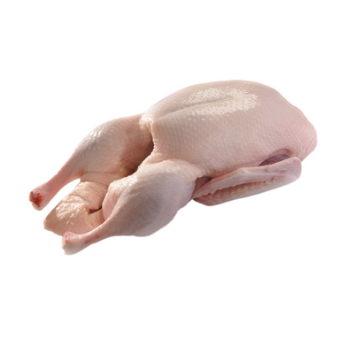 Duck